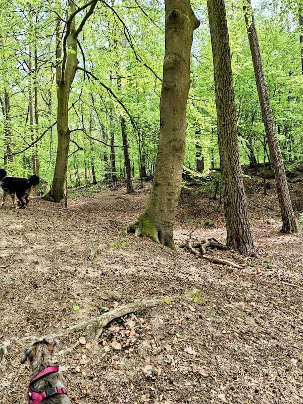 2. Die Drei Steine - Image 1