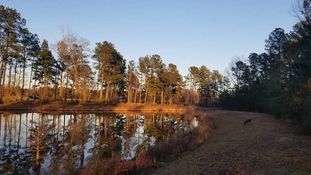 Elizabeth Brinkley Park - Image 1