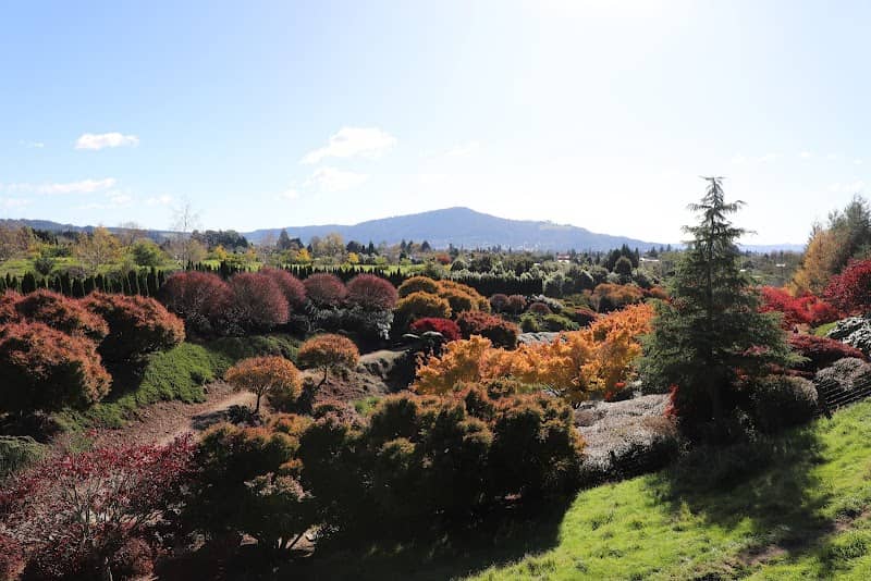Centennial Park - Image 1