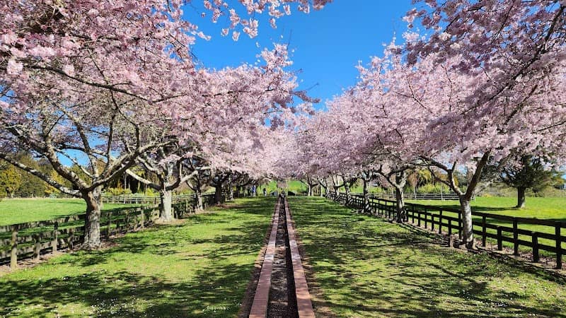 Centennial Park - Image 2