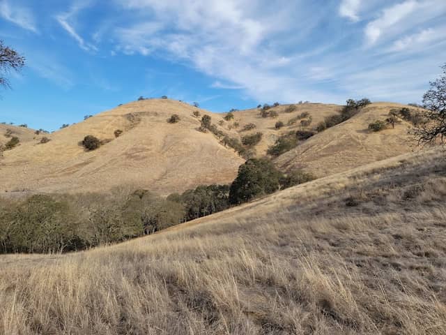 Old Borges Ranch - Image 1