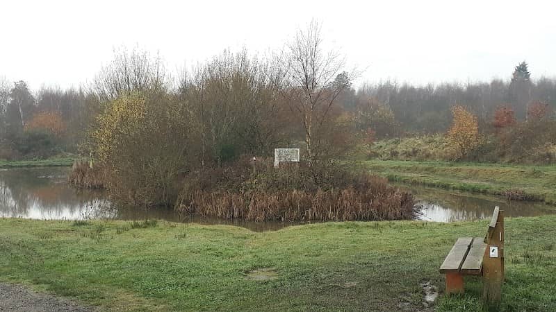 Lyme Pool - Image 1