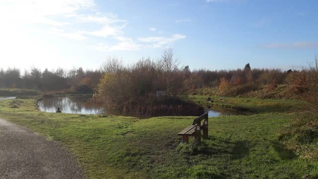Lyme Pool - Image 2