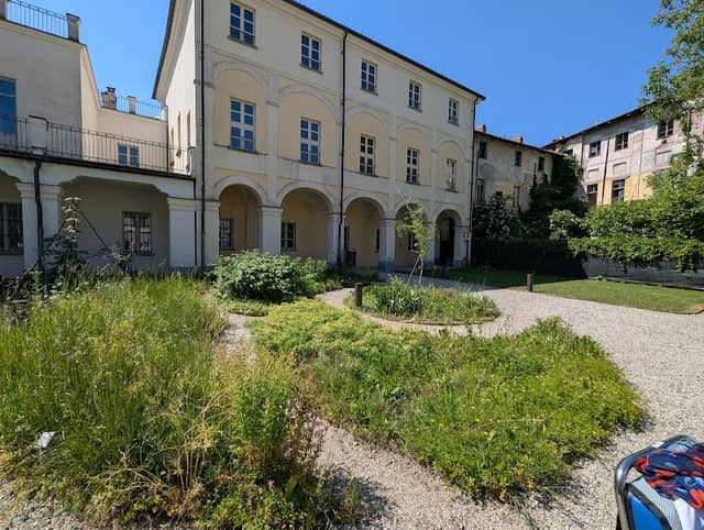 Orto Erboristico Botanico - Università degli Studi di Torino - Image 1