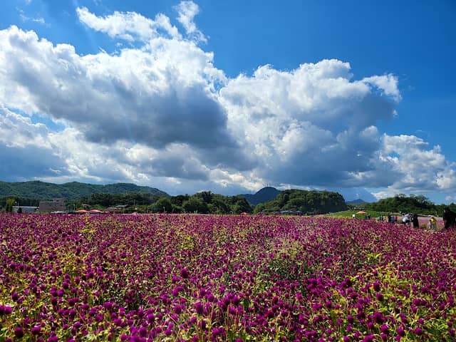 Nari Park - Image 1
