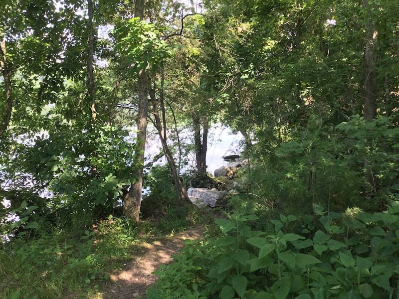 Riverview - Image 2