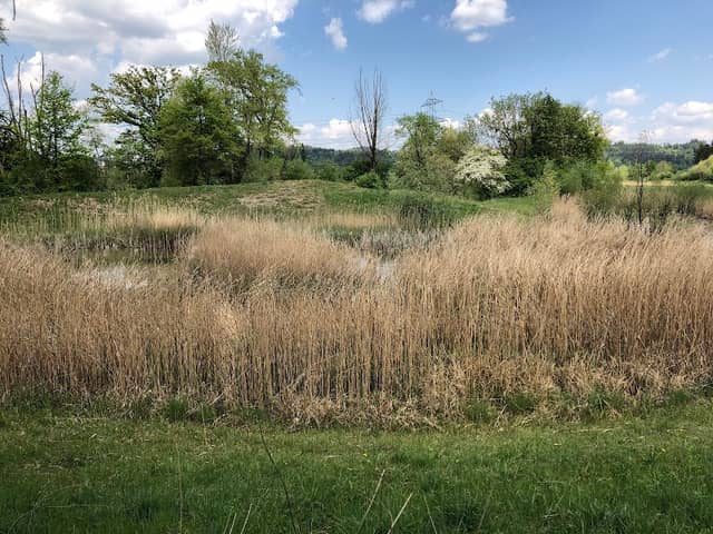 Rotbach - Image 1