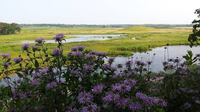 Glacial Park Conservation Area - Image 3