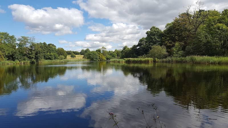 Stanton Country Park - Image 2