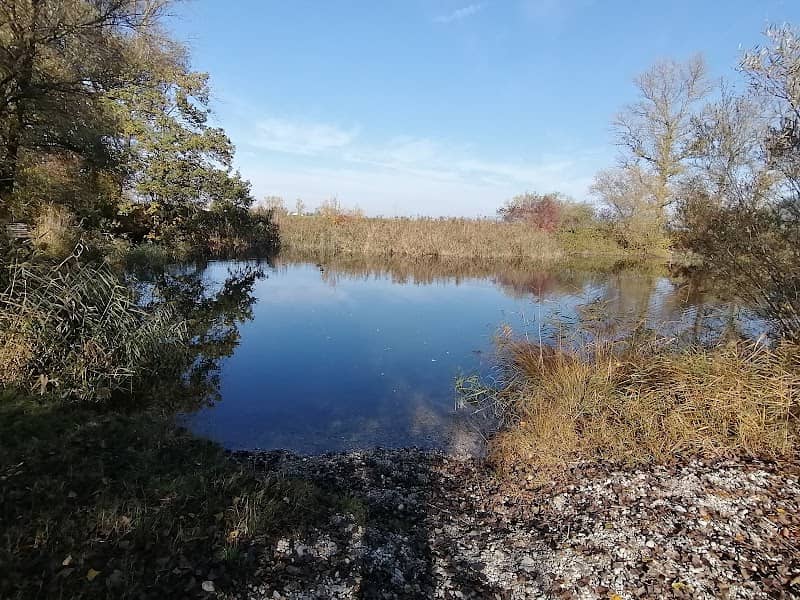 Sehenswürdigkeit Weiher - Image 1