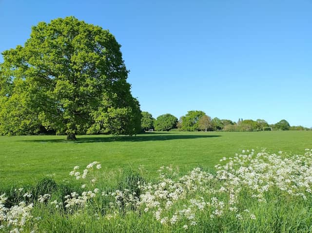 Mulbarton Common - Image 1