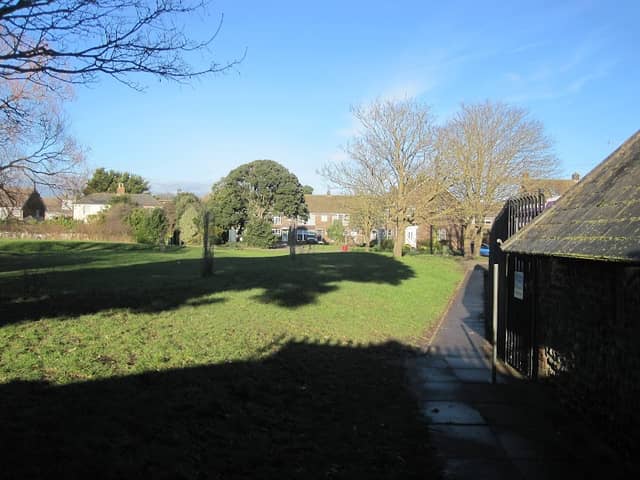 Orangie's Green - Image 1