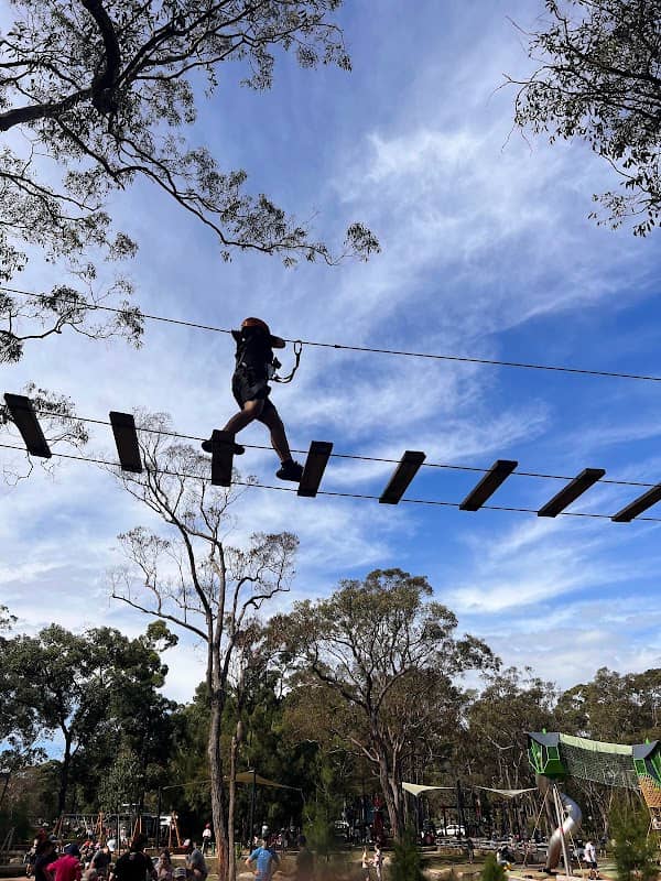 Treetops Adventure St Ives - Image 2
