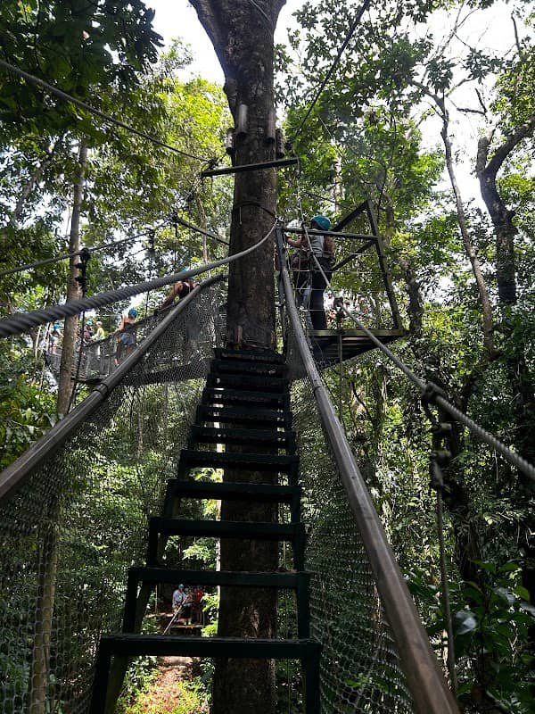 El Santuario Canopy Adventure Tour - Image 3