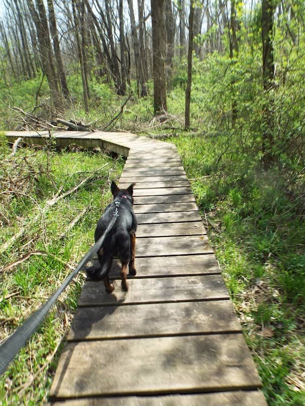 Lost Sister Trail Trailhead - Image 1