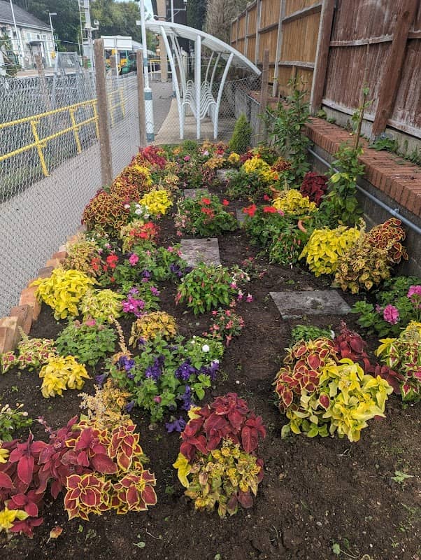 June's Garden - Image 1