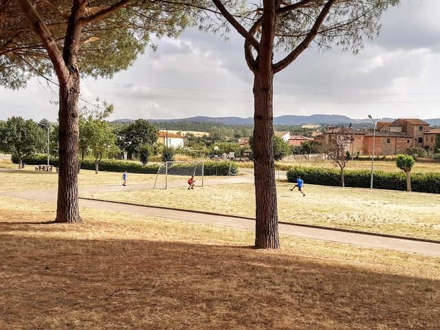 Parco Comunale Ezio Grazi - Image 1