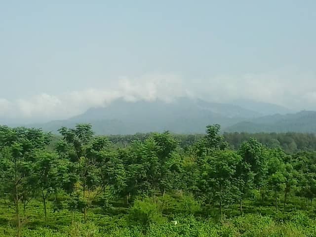 Kangchenjunga View Point - Image 1