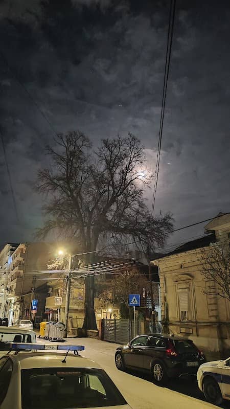 Stari brest - Image 1