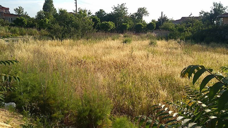Park - Image 1