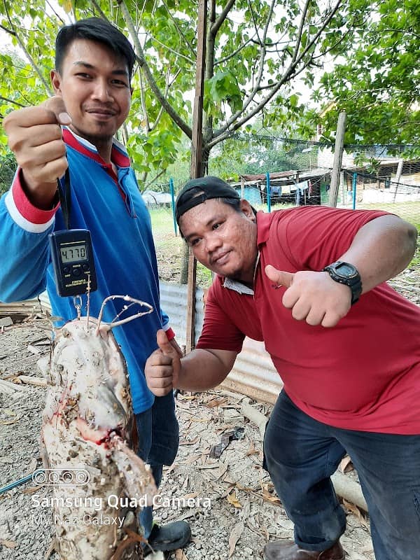 Kem dan Wisma Pengakap Kelana Seri Angkasa Kuala Muda - Image 1