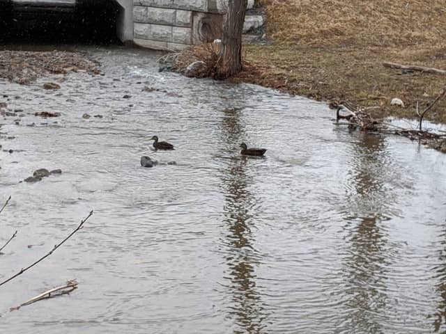 Smelt Brook Park - Image 2