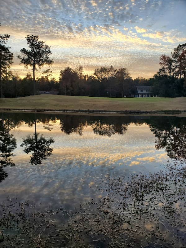 Toddy Pond - Image 1