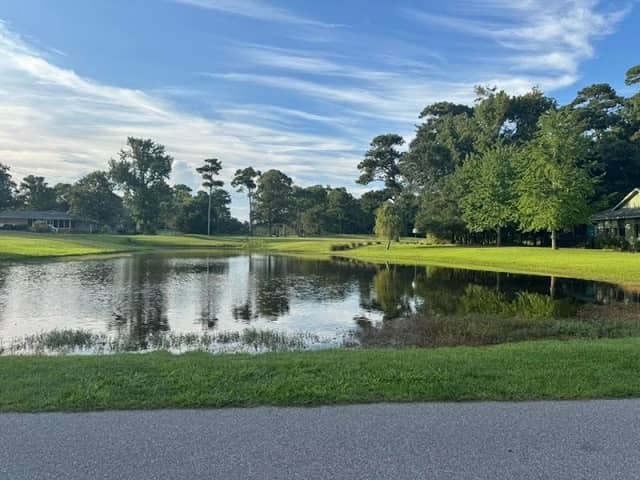 Toddy Pond - Image 2