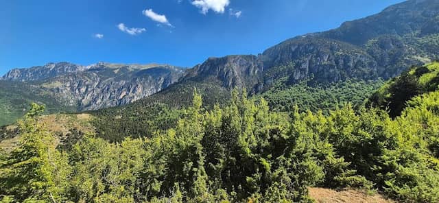 Kapinovë Berat - Image 1