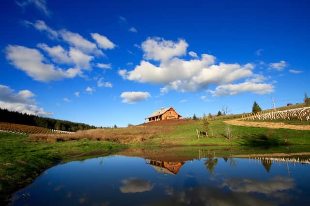 Domaine Divio - Image 2
