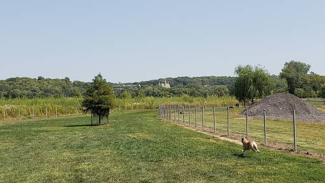 Platte Landing Park Dog Park - Image 1