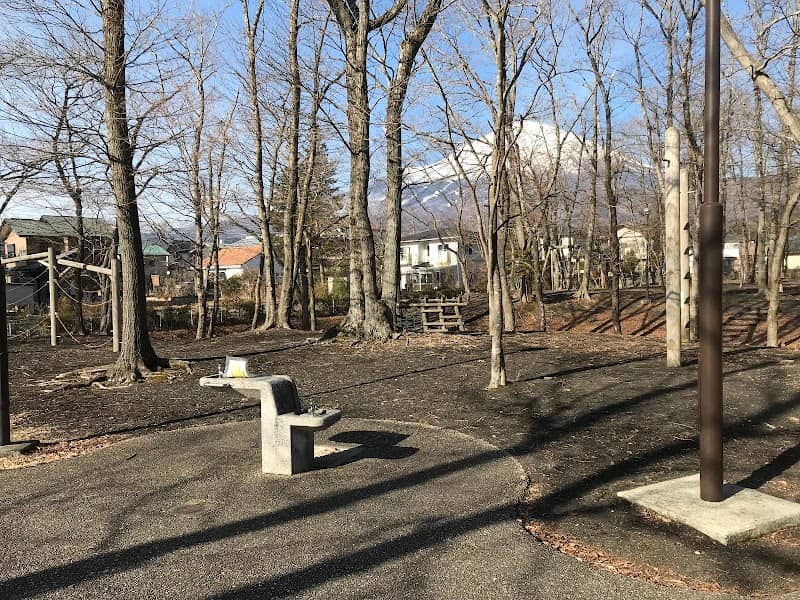 Subashirinakayoshi Park - Image 1