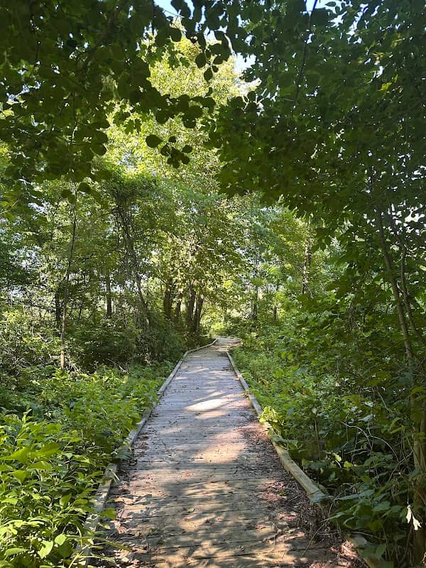 Olin Lake Nature Preserve - Image 2