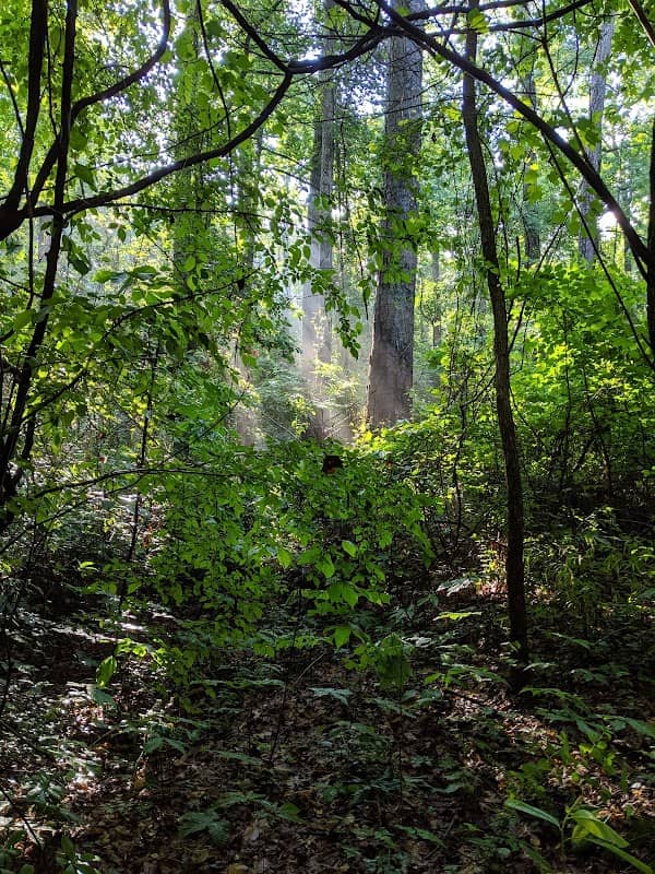 Indian River Park South Side - Image 2