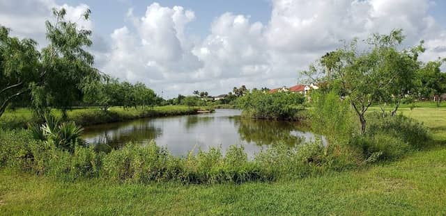 Trail of Texas Trees Park - Image 1
