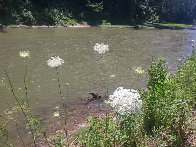 Riverfront Park - Image 2