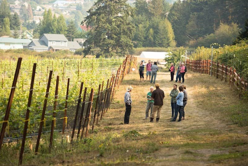 Port Townsend Vineyards - Image 1