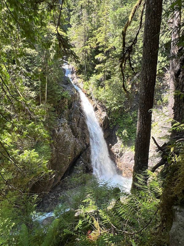 Upper Myra Falls - Image 1