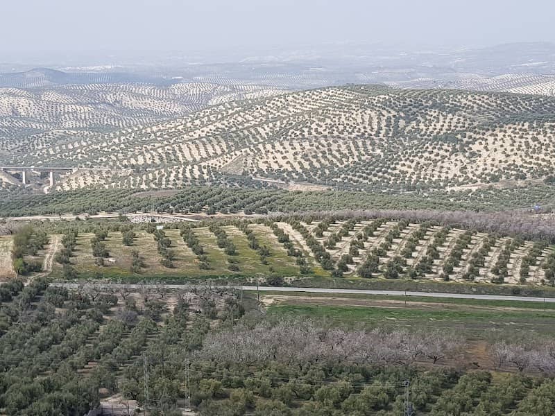Paraje Natural Santa Ana - Image 2