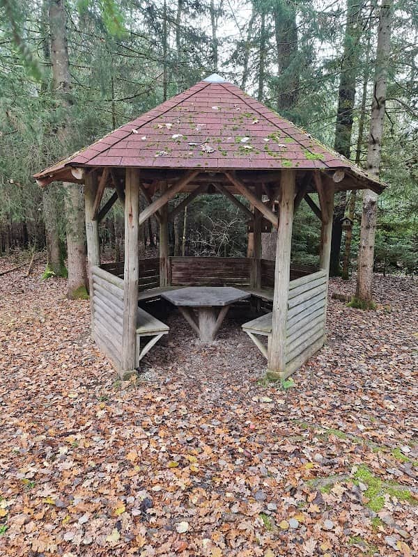 Waldschutzhütte - Image 1