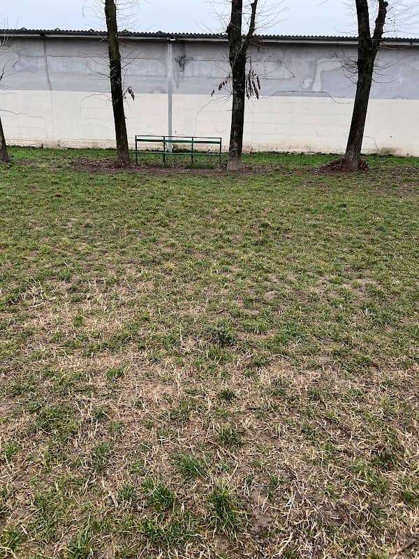 Area Cani - Comune di Trecate - Image 1
