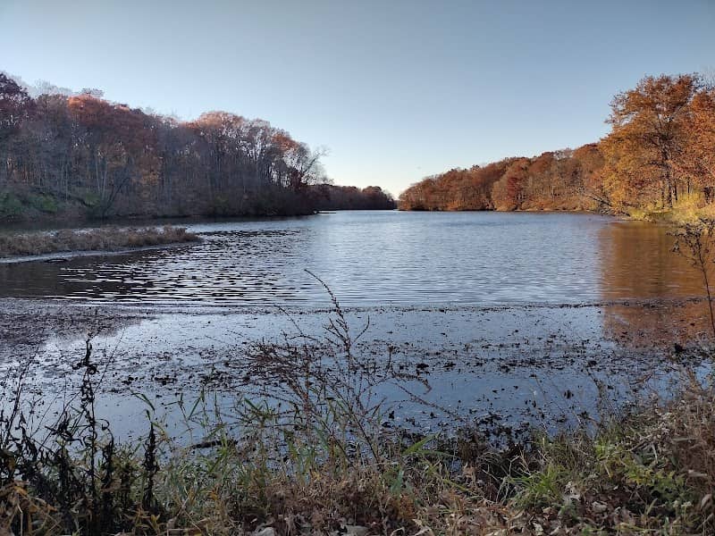 Kingsbury Park District Nature Preserve - Image 2