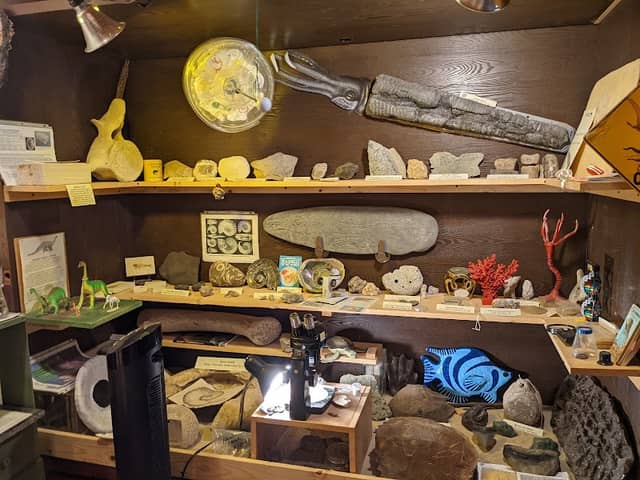 Adventure Safaris Dinosaur Warehouse - Image 1