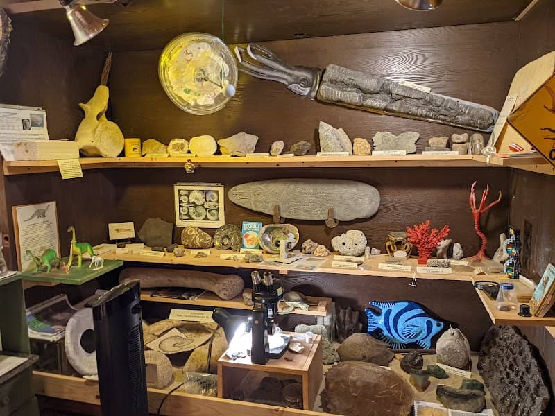 Adventure Safaris Dinosaur Warehouse - Image 1