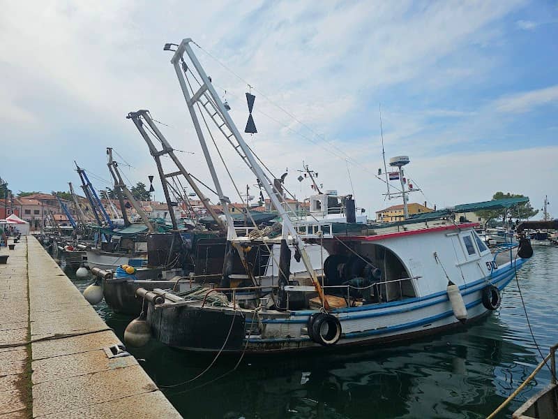 Novigrad turistički voz - Image 1
