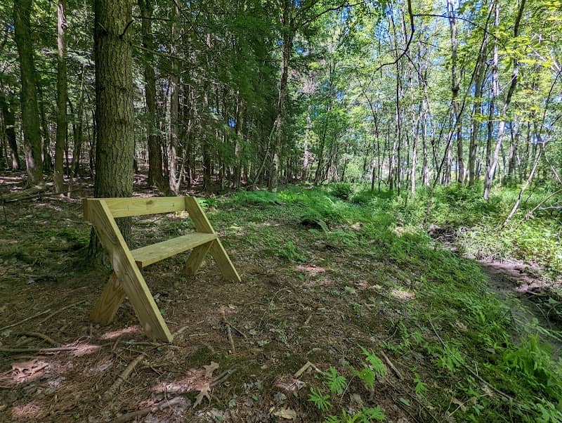 Sand Lake Walking Trail - Image 1