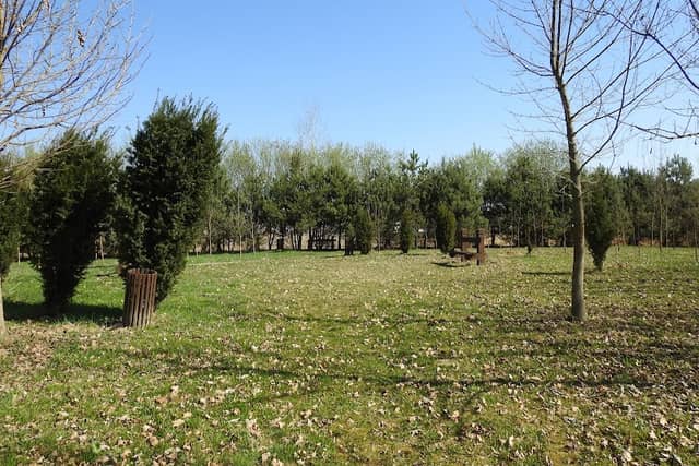 56-os Emlékerdő - Image 1