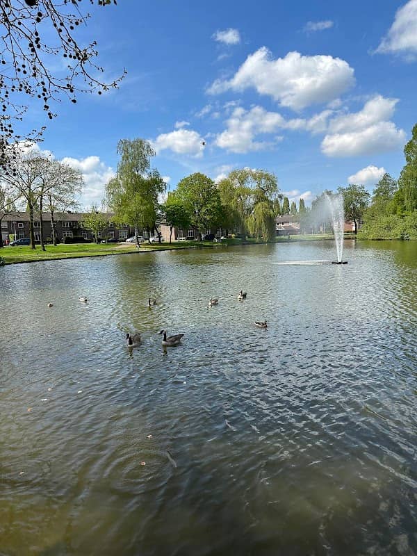 Helmond - Image 2
