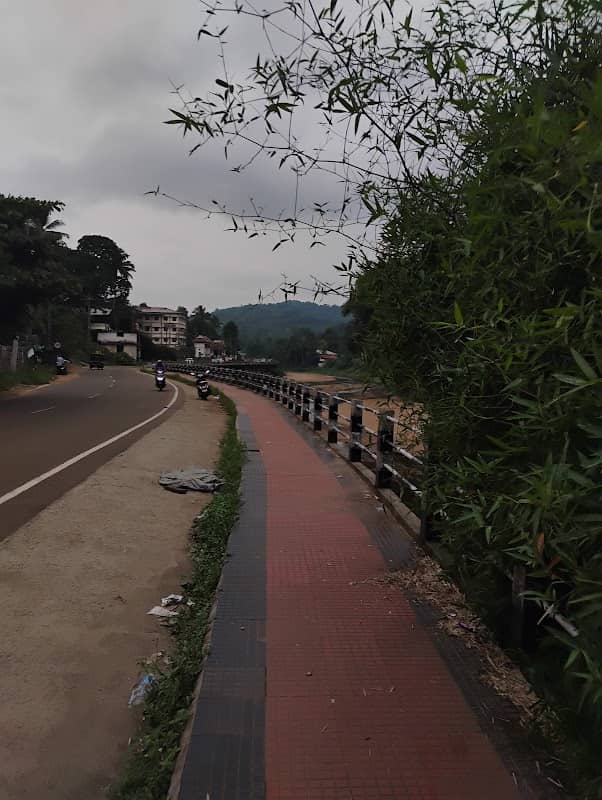 BYPASS VIEW POINT - Image 1