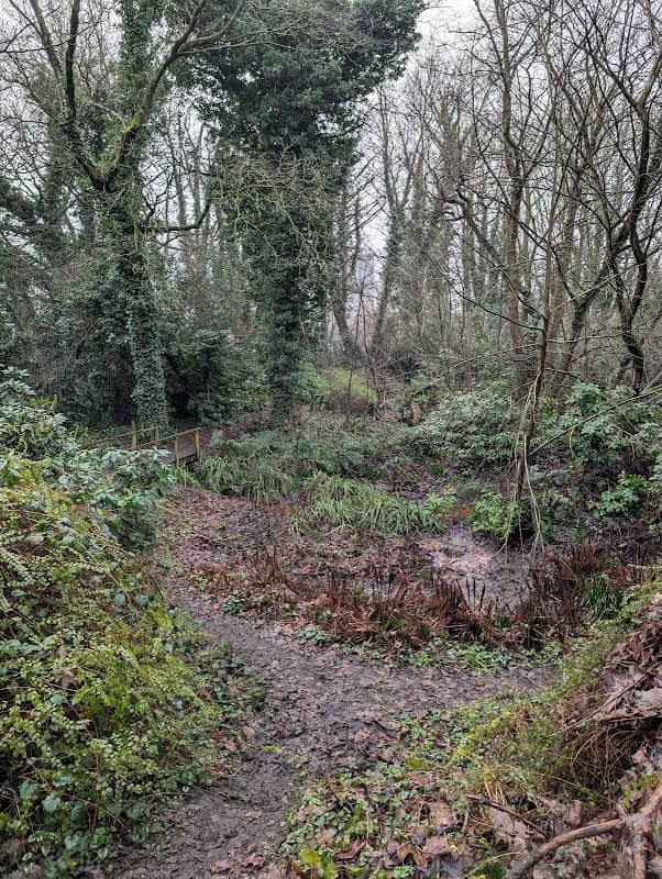 Vicarage Gardens - Image 1